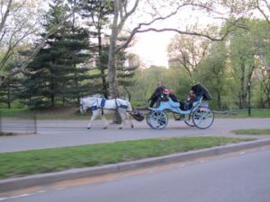 A carriage in Central Park near the entrance by 59th Street and Fifth Avenue