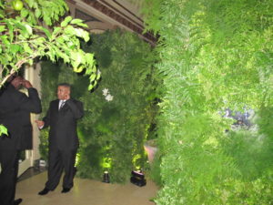 The plaza was decorated exquisitely - here with real ferns.  The security was great.