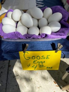 And look - fresh goose eggs.