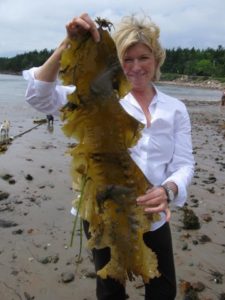 Before Hurricane Bill arrived, a group of us went beach combing at the Seal Harbor beach.  Here I am holding up a large piece of triple growth kelp.