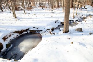 A once gurgling brook frozen solid