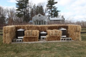 The honey bee hives have been wrapped and and are protected from freezing winds with a wall of hay bales.  I hope the colonies are strong and healthy in the spring.