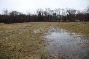 A giant puddle of standing water in a meadow
