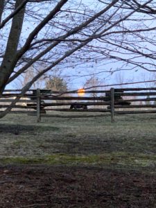 I took this photo early in the morning around 7am as I was leaving my Bedford, New York farm. It was expected to be a beautiful day with temperatures in the high 60s.