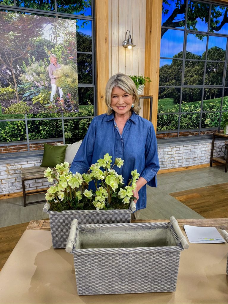 Captivating Martha Stewart On Qvc Artwork Digital Art Captivating Martha Stewart On Qvc Artwork Digital Art
