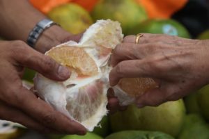 Pomelo, or Chinese grapefruit, is a very nutritious citrus fruit that I love.