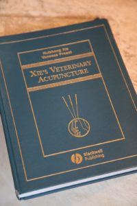 Dr. Xie is a highly regarded expert of veterinary acupuncture.