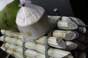 Coconut and sugar cane