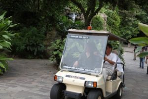 Before entering the National Orchid Garden, principal botanist Dr. See Chung Chin took me for a little spin.