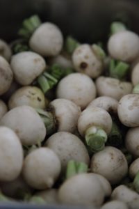 Baby turnips in need of hand peeling