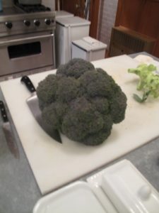 This is the largest broccoli we had ever seen - grown in my own garden in Maine - it was delicious and fed eight of us!