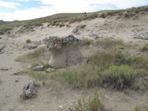 This formation is a very ancient bison wallow - the sandstone has been worn away by bison who scratch themselves to relieve biting insects and lice.