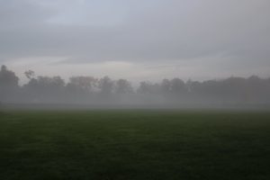 An eerie bank of fog rolling across the meadow