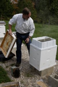 Guy removes the lid from the first hive revealing the sugar-syrup feeding tray.