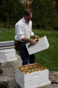 Guy lifts off the heavy brood chamber, which contains about 70 pounds of honey!
