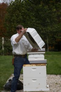 Guy gives the feeding tray a good shake to extricate the the bees clinging to it.
