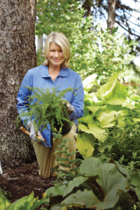 Read about how my shade garden at Bedford came to be. Here, I’m holding a Victoria Lady fern–one of the most unusual ferns in my garden.