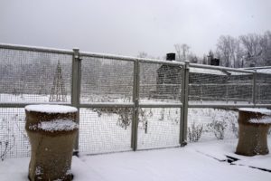 This is the fence surrounding the cutting garden, located behind the greenhouse.  A pair of stately Kenneth Lynch garden urns are covered in burlap for the winter.