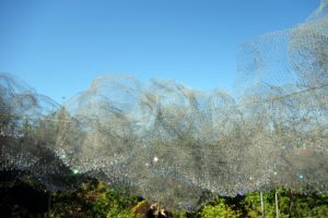 This sculpture is called Cloud Terrace and is a hand-sculpted wire mesh cloud suspended over the Fountain Terrace and embellished with 10,000 Swarovski crystals, by landscape artists Andy Cao and Xavier Perrot.