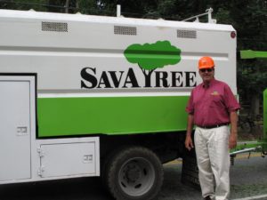 My friend, Ralph Robbins, from SavATree http://www.savatree.com/ brought his crew to work on the damaged trees along the road.