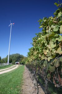 The recent addition of this wind turbine has provided the farm with clean wind energy; enough that the McCalls can also supply clean power to the Long Island Power Association!