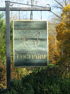 She also visited Cogi Farm, a beautiful equestrian center located in the rolling countryside of Pawling, New York.