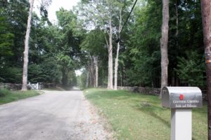 The Maple Avenue mailbox