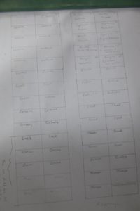Ryan has been mapping out a chart of the vegetable garden.