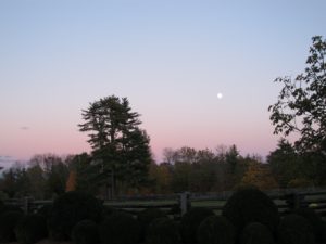 The Hunter's Moon is so named for the light it casts, enabling hunters to see and shoot migrating birds and other prey.
