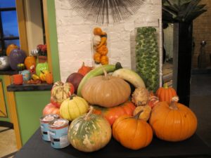 I demonstrated decorating pumpkins using Martha Stewart Living Paint, available at Home Depot. http://www.homedepot.com/webapp/wcs/stores/servlet/ContentView?pn=BP_MSL_Paint&langId=-1&storeId=10051&catalogId=10053