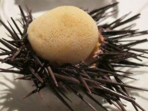 An unbelievable sea urchin dish