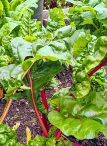 Swiss chard is an excellent source of potassium, calcium and magnesium, minerals that help maintain healthy blood pressure.