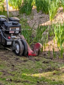 The edger cuts smoothly as it goes over the garden soil. Phurba is careful to look for any rocks, twigs or branches which could be in the way of the edger's path.