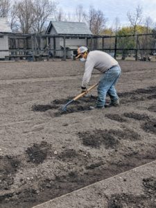 We've worked hard to prepare this soil. Before any planting begins, we amend the soil, till the earth twice and then begin making the beds - it is a big process.