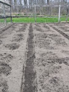 Building up the soil is the most important part of preparing a garden for growing vegetables and flowers. Deep, organically rich soil will encourage and support the growth of healthy root systems. This is one side of the vegetable garden where we are building small, manageable rectangular beds.