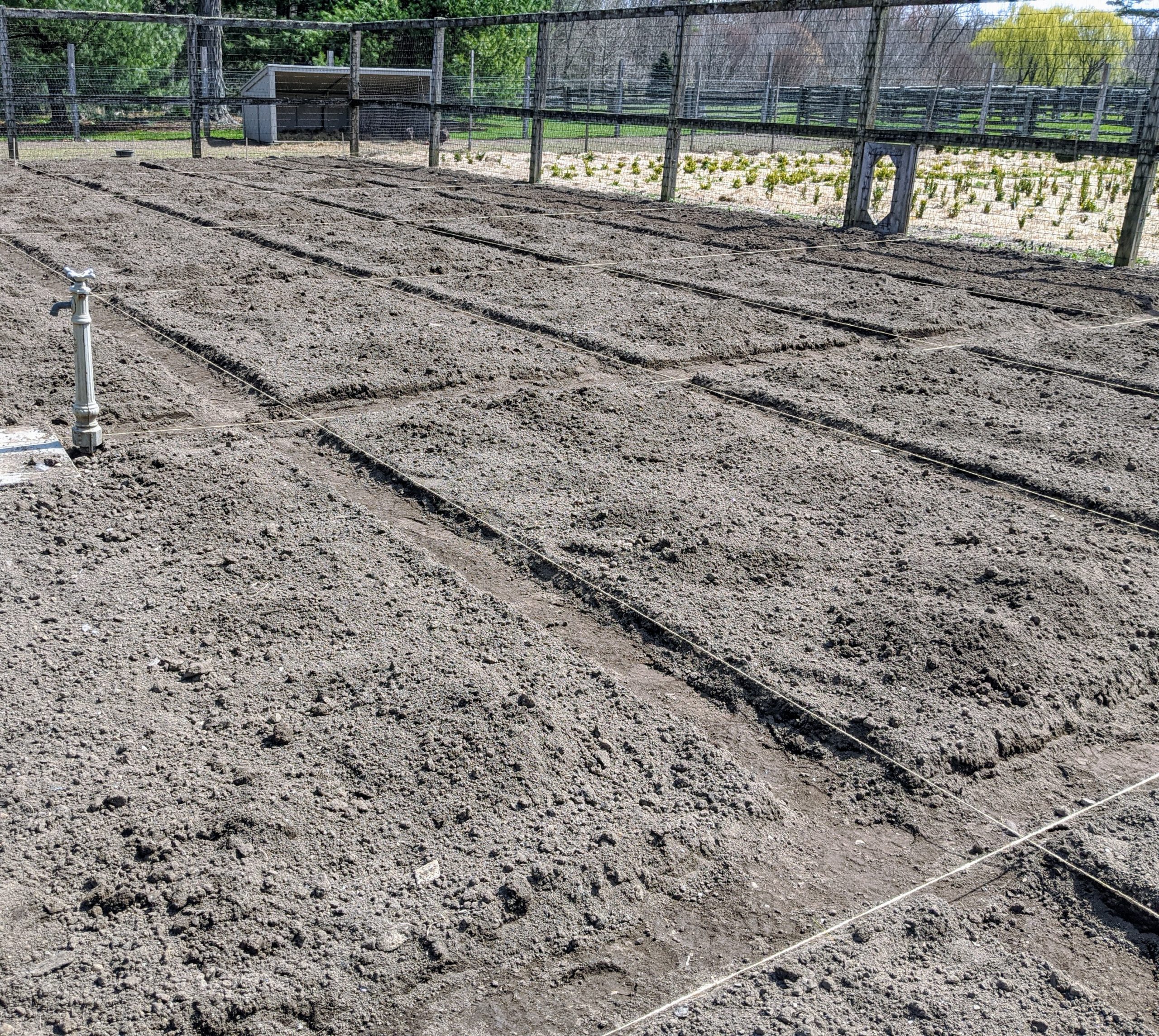 Preparing the Vegetable Garden at My Farm - The Martha Stewart Blog