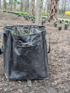 Any organic debris is placed in one of these handy totes - my heavy-duty Multipurpose Garden Tote. I have lots of gardening supplies and tools on Amazon.