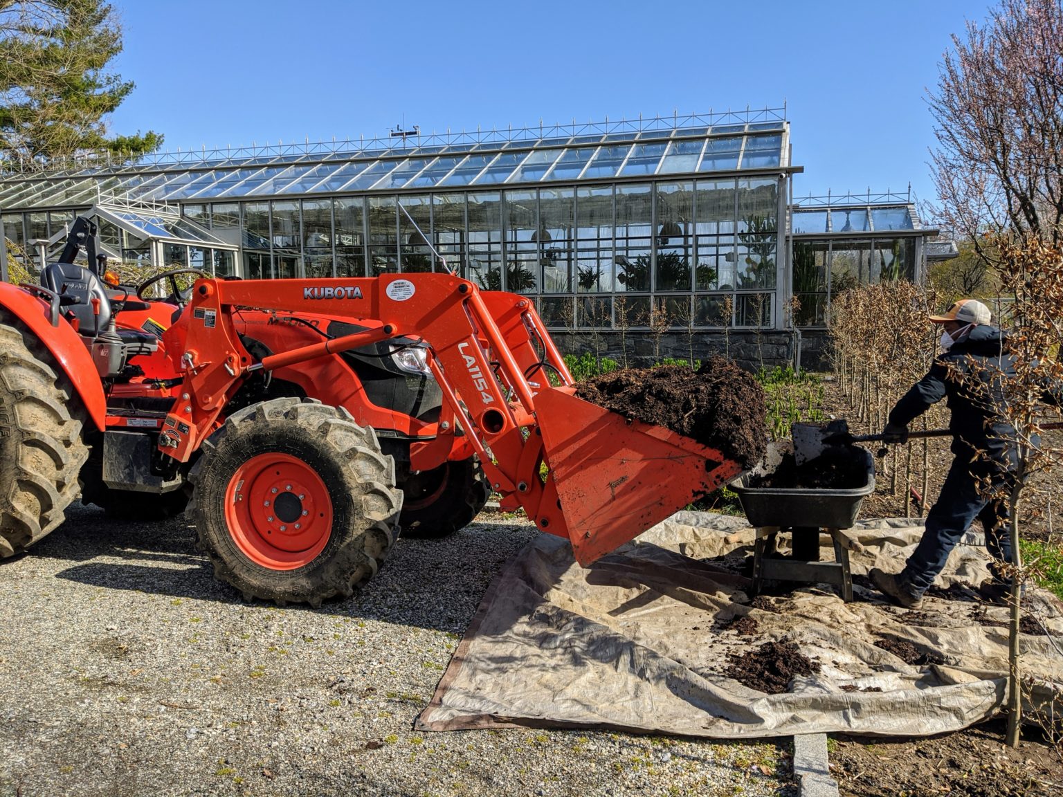 Planting A Strawberry Patch - The Martha Stewart Blog