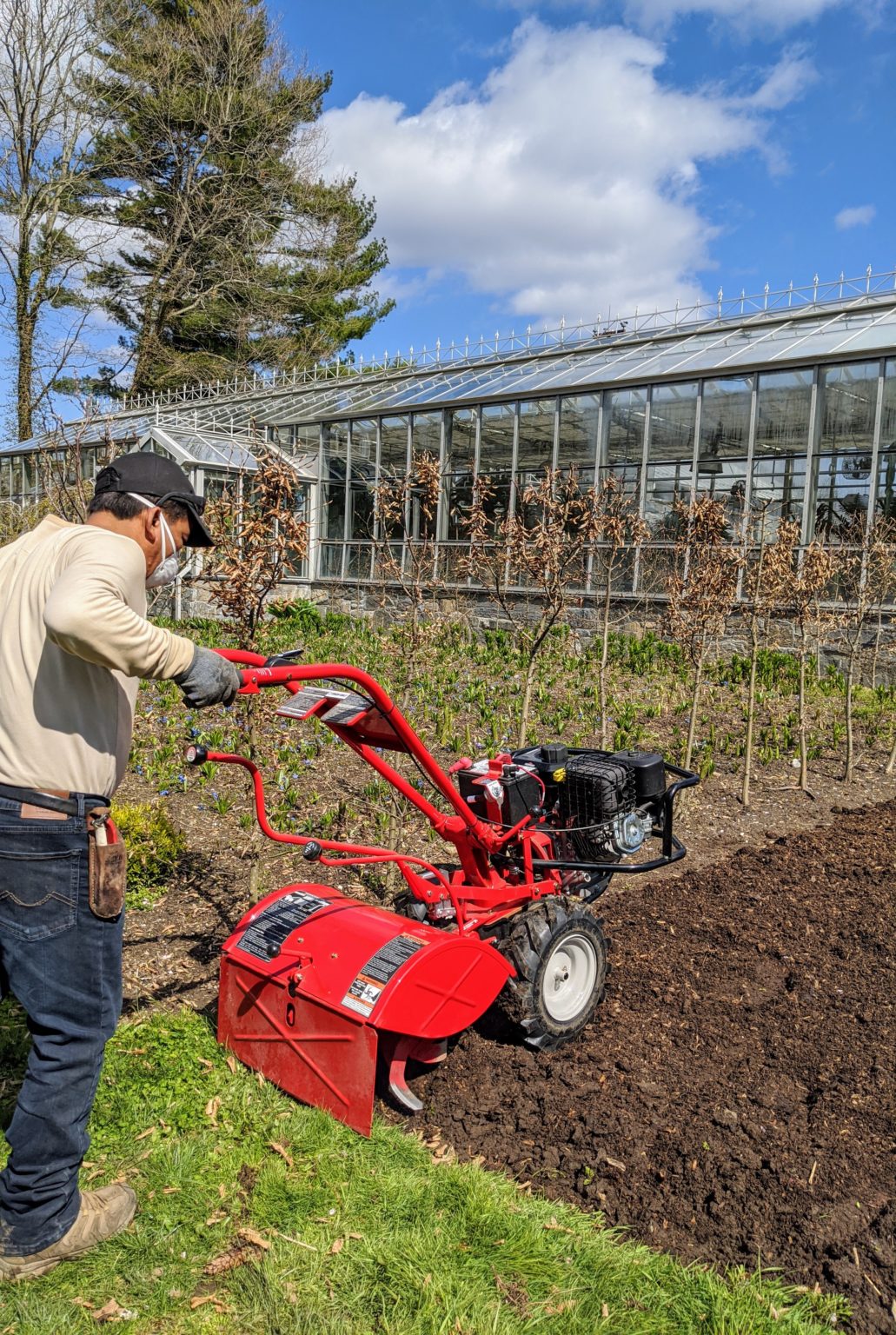 Planting A Strawberry Patch - The Martha Stewart Blog