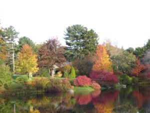 In Autumn, the garden glows with blazing reds, yellows and oranges.