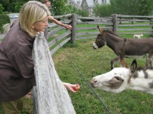 After the woods and before the next scene, I stopped to feed the donkeys some fresh-picked apples.