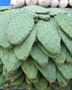 In the market, there are great fruits and vegetables sold fresh daily.  These are nopales, or prickly pear cactus leaves, which have been a staple of the Mexican and Central American diet for thousands of years.