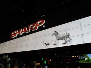 Sharp also had a large area.