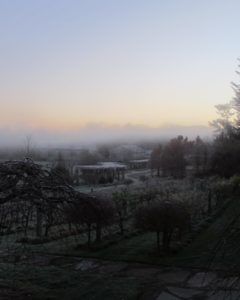 It was a misty and frosty morning at the farm.