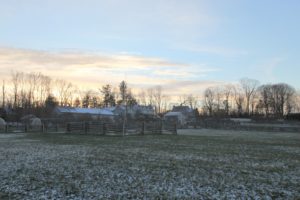 An afternoon view across a snow-dusted paddock looking towards my house - The sun has been setting early, around 4:30 lately.