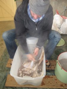 For neatness purposes, the carcass was placed in a large bin to catch the feathers.
