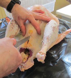 An opening is cut in the lower part of the body to remove the rest of the organs.