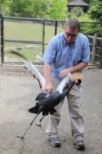 With agile hands, Jason grabbed hold of an East African Crowned Crane.