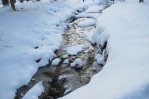 And another gurgling brook, which is quite icy
