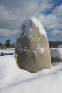 The burlap protects from windburn and also preserves the shape of the shrub from the weight of the snow.